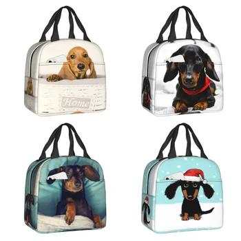 Милая собака-такса, термоизолированная сумка для ланча, женская сумка для сосисок, Барсучьи собаки, сумка для ланча для детей, Школьная коробка для еды