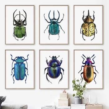 Образец жука, Единорог, Скарабей, Винтажные цветные плакаты с насекомыми и принты, настенное искусство, домашние картины для гостиной